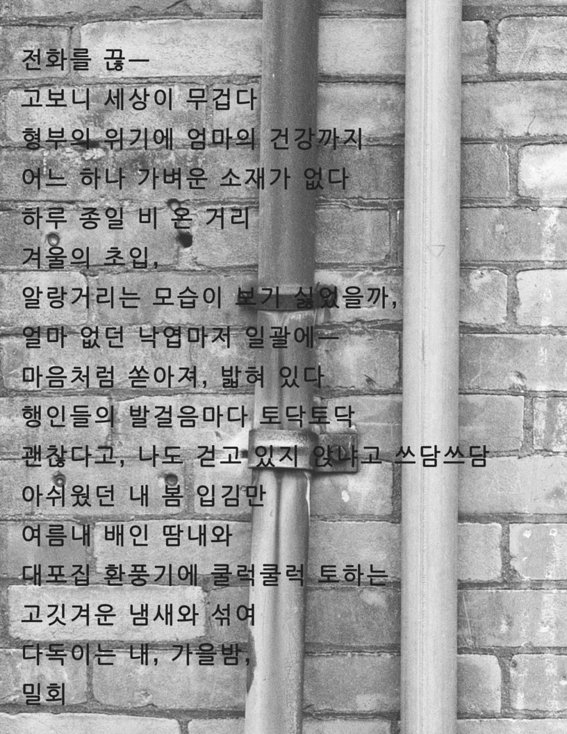 전화를 끊ㅡ고보니 세상이 무겁다형부의 위기에 엄마의 건강까지어느 하나 가벼운 소재가 없다하루 종일 비 온 거리겨울의 초입, 알랑거리는 모습이 보기 싫었을까,얼마 없던 낙엽마저 일괄에ㅡ마음처럼 쏟아져, 밟혀 있다행인들의 발걸음마다 토닥토닥괜찮다고, 나도 걷고 있지 앉냐고 쓰담쓰담아쉬웠던 내 봄 입김만 여름내 배인 땀내와대포집.png