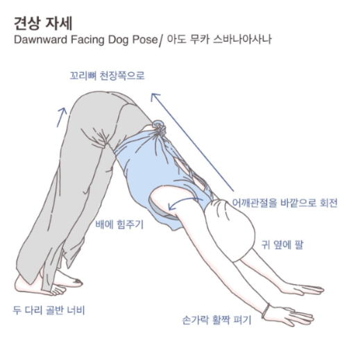 스크린샷 2025-08-21 233217.png