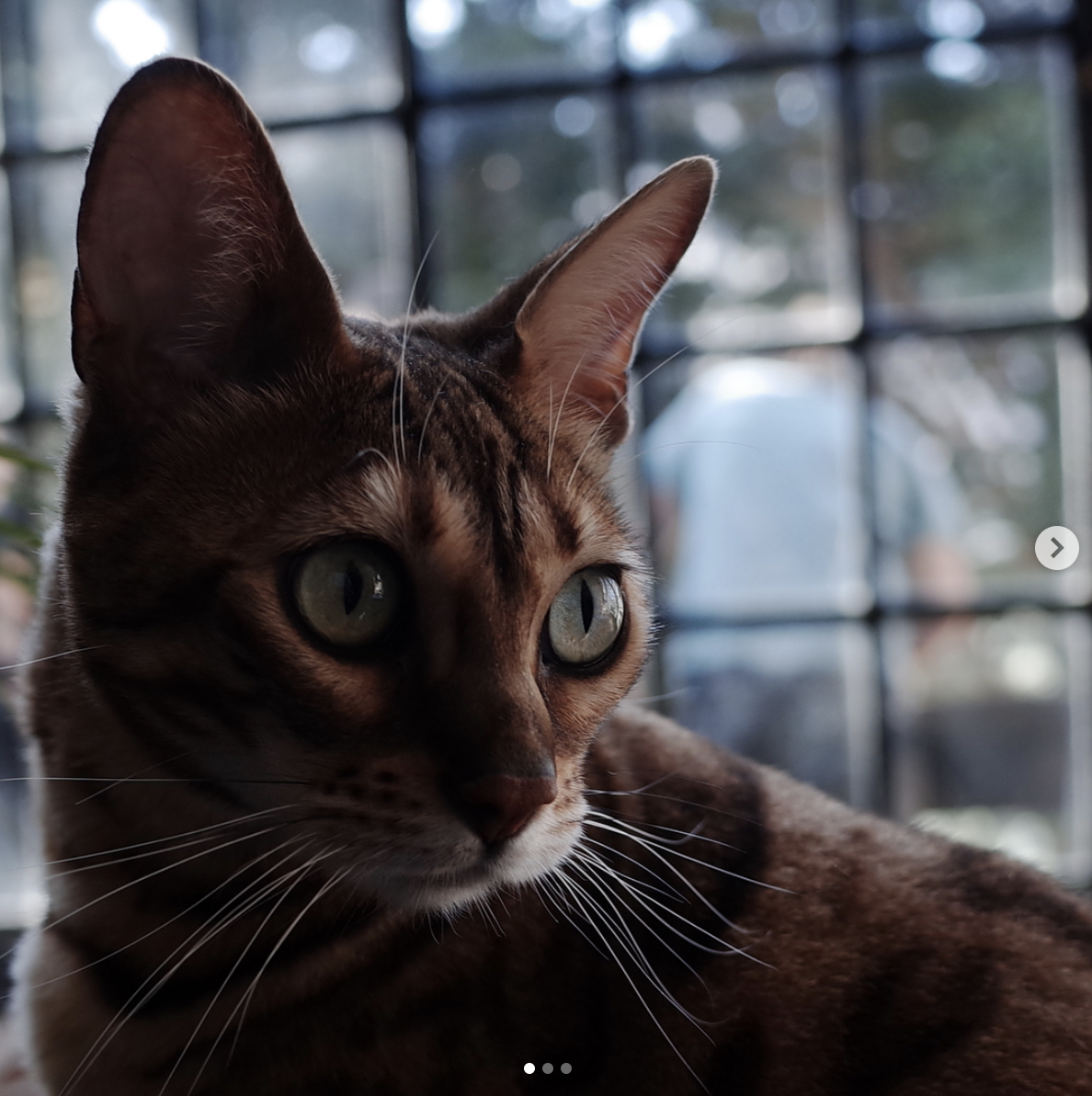 스크린샷 2021-02-02 오후 2.06.27.png