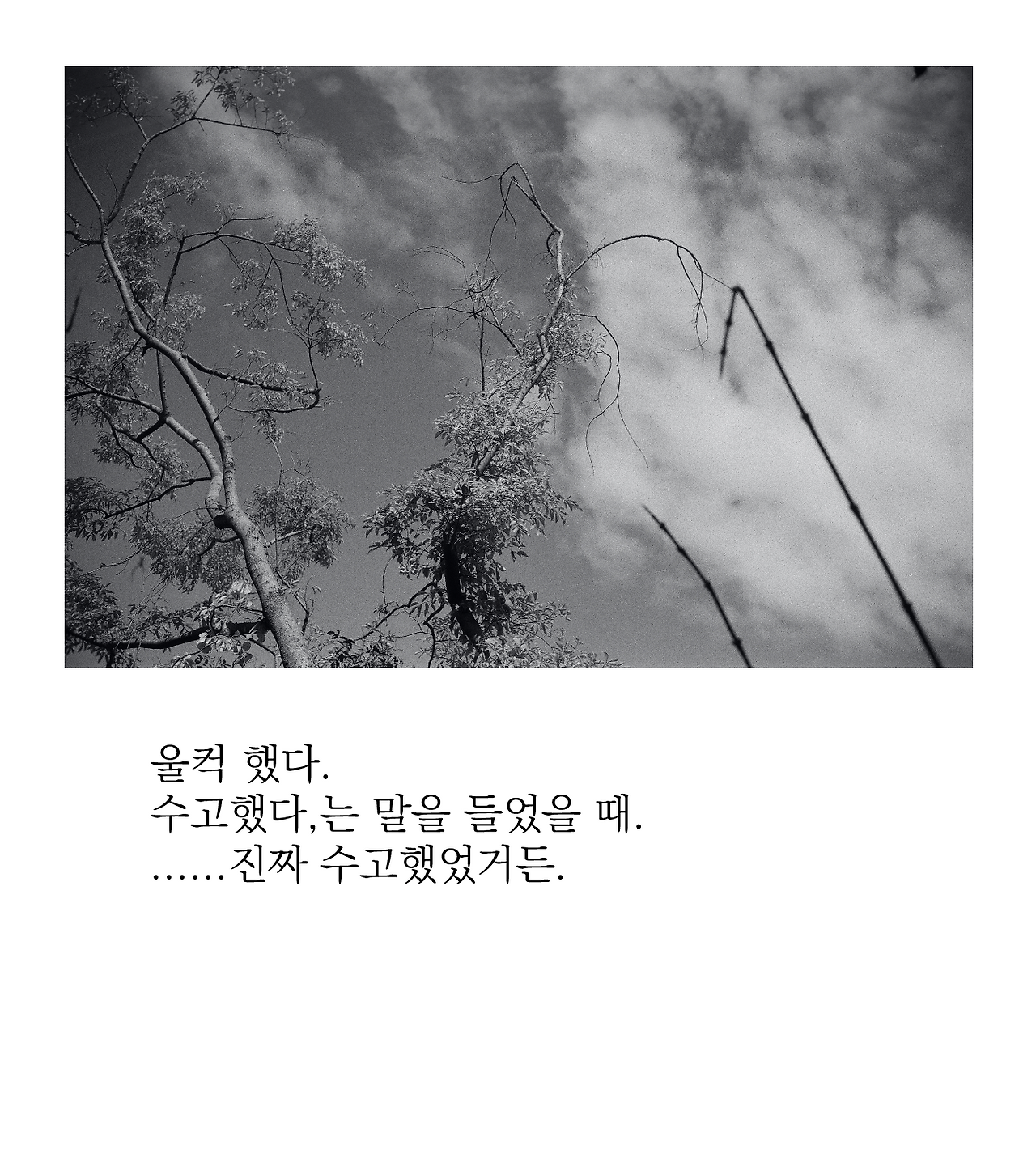 스크린샷 2025-06-10 오전 3.56.52.png