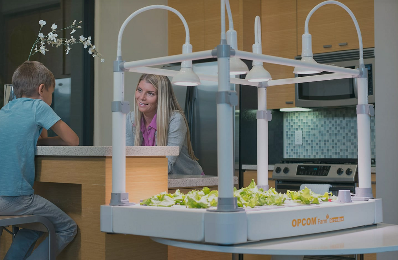 스크린샷 2017-01-04 오후 11.03.33.png