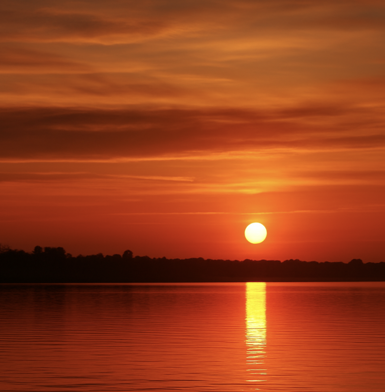 Screenshot 2025-08-07 at 16.31.09.png