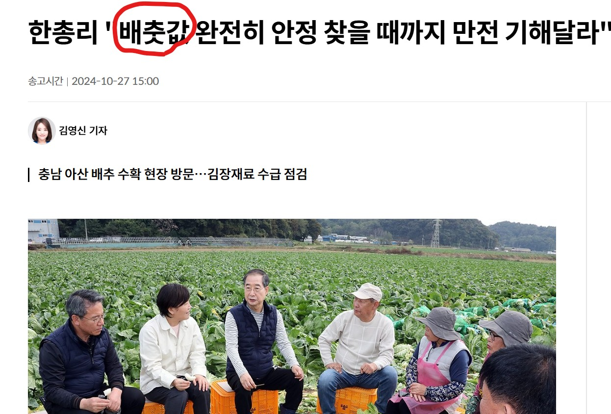 9_deeUd018svc1unsz7anfdq08_hgt0e (1).png