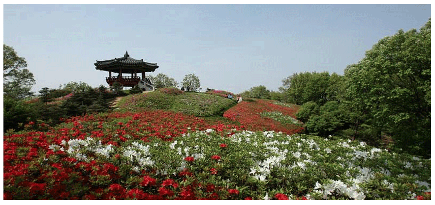 스크린샷 2018-10-04 오후 11.26.34.png