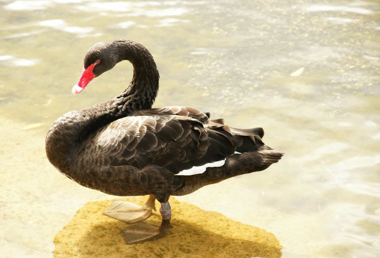 스크린샷 2015-12-29 오후 11.51.29.png