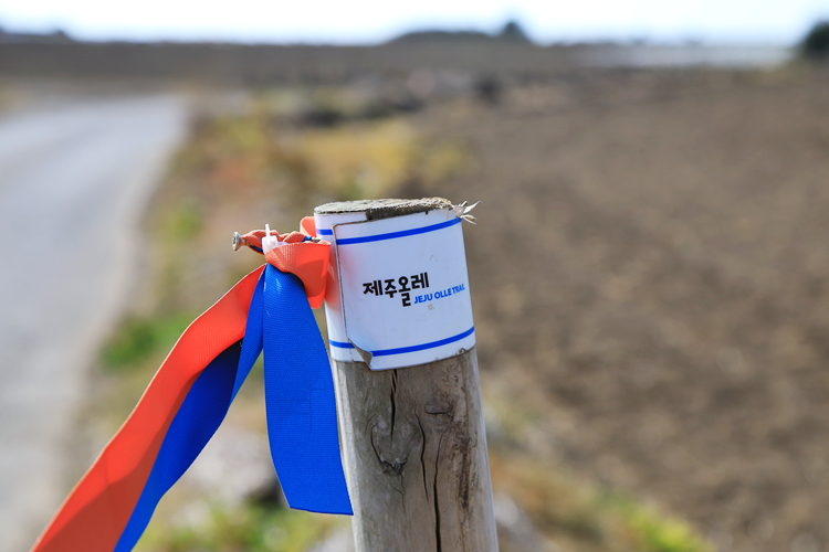 7.제주올레길resize.png