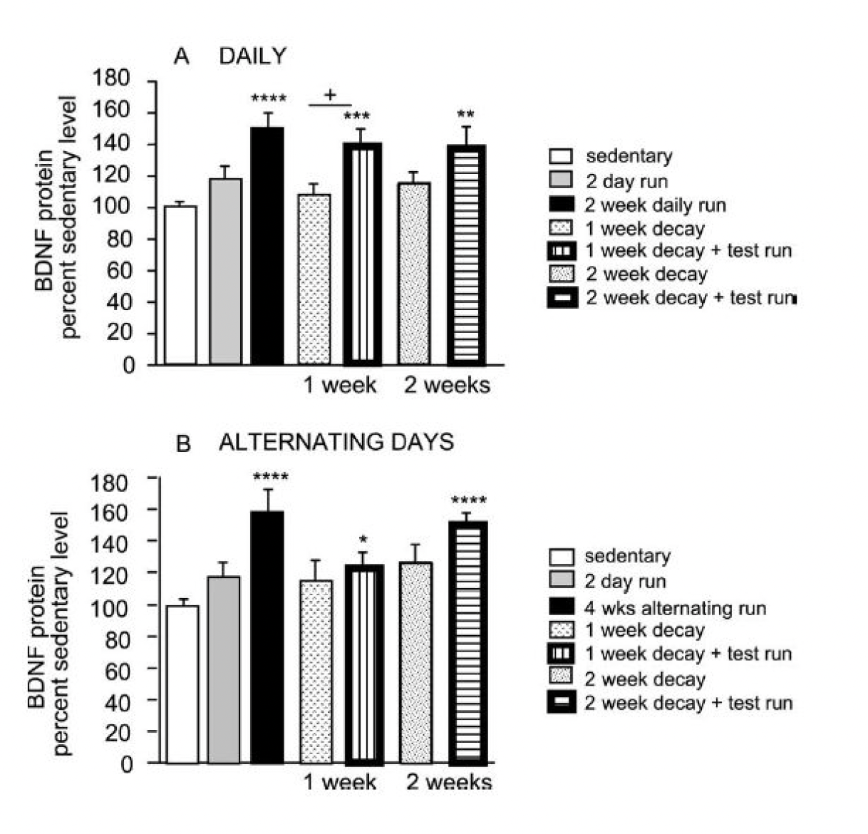 11-2. 데이터_운동과 BDNF(2).png