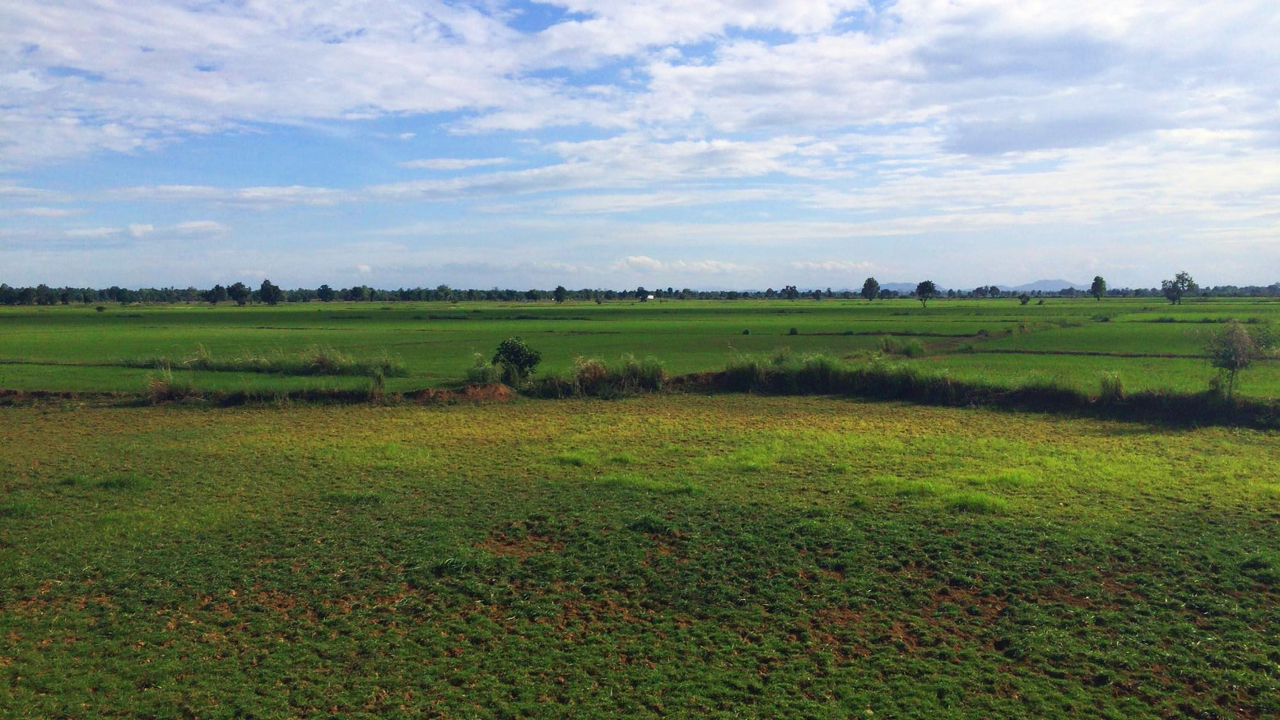 20150705_battambang_nori_side_03.png
