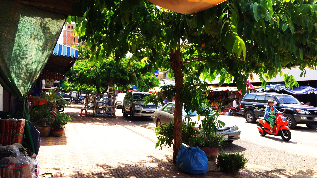 20150706_battambang_market_02.png