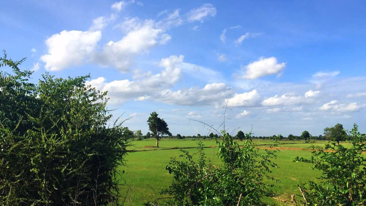 20150705_battambang_nori_side_11.png