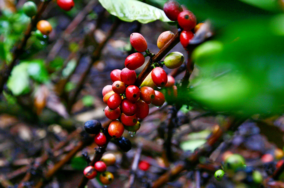 사진 3보정.png