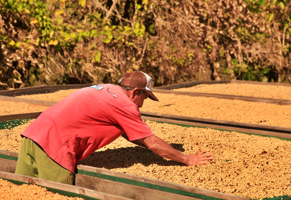 사진 5-보정.png