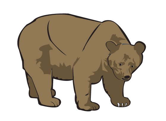 곰-1.png
