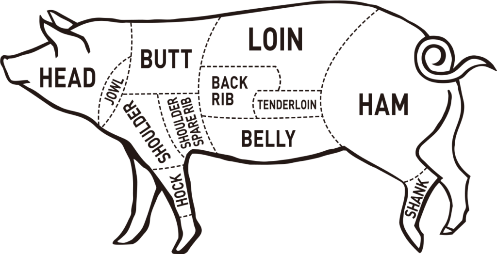 pig_illust_20210908-1024x524.png