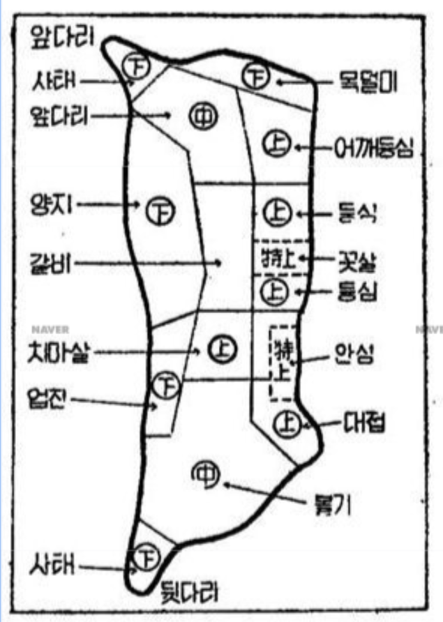 19670517 쇠고기 부위.png
