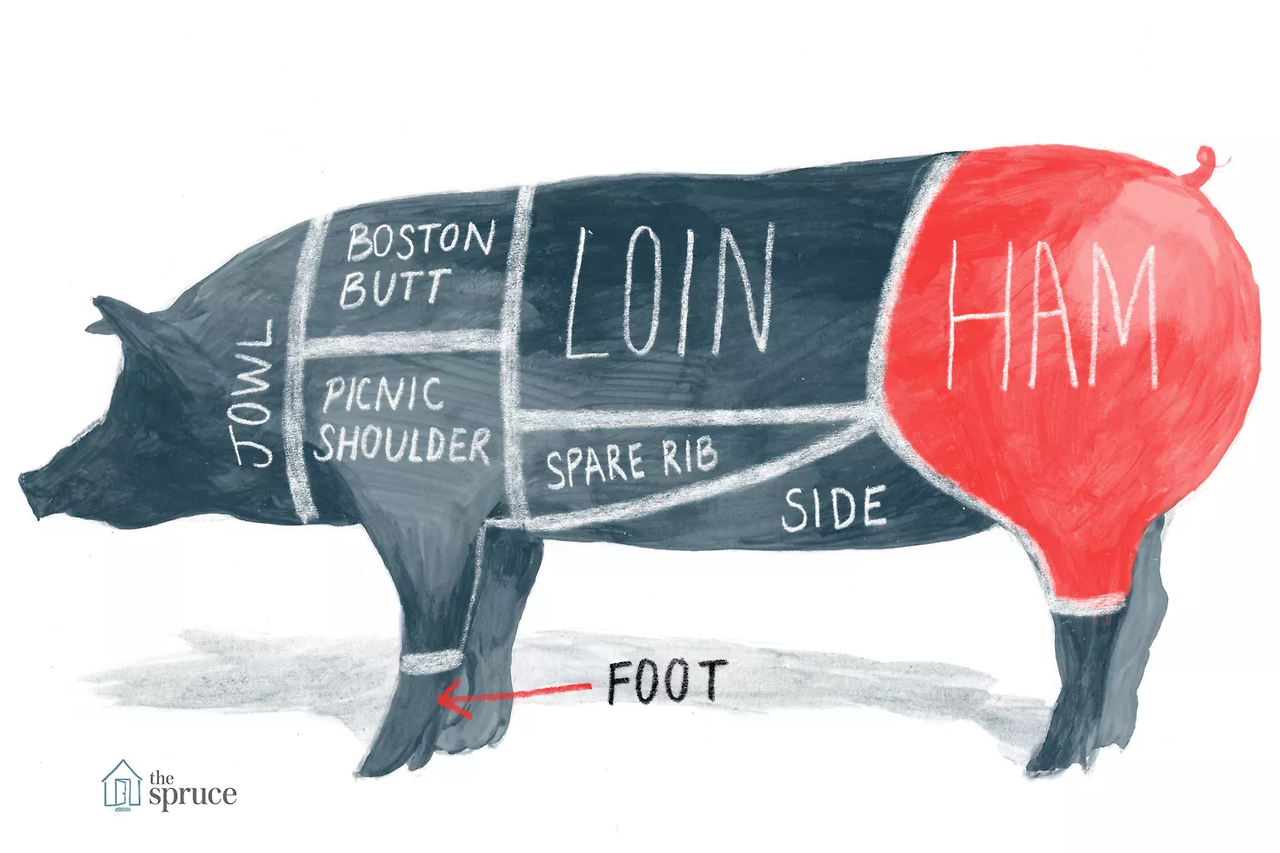 SPR_995306-pig-diagram-and-pork-chart_Ham-5a985fbafa6bcc003772492e.png