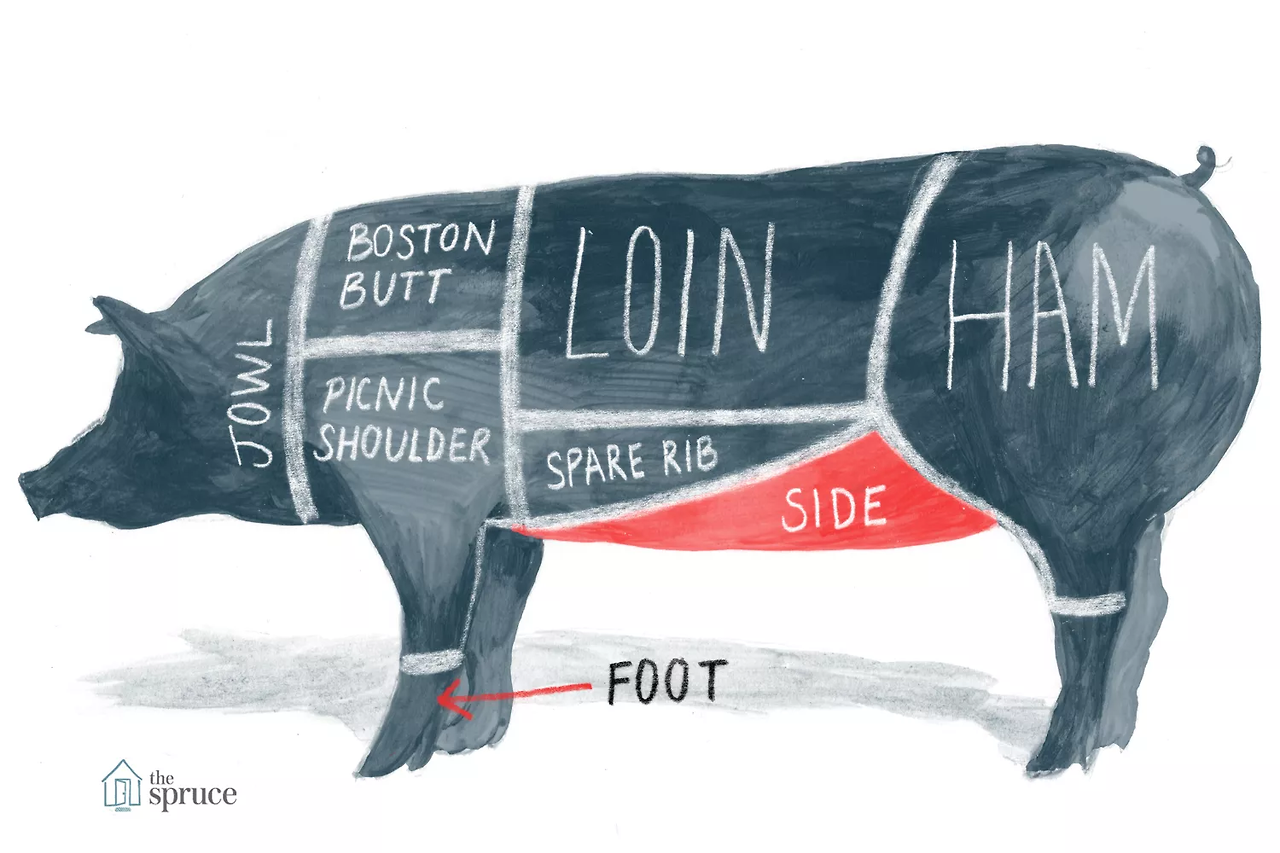 SPR_995306-pig-diagram-and-pork-chart_Side-5a985ff23418c600369f7e98.png