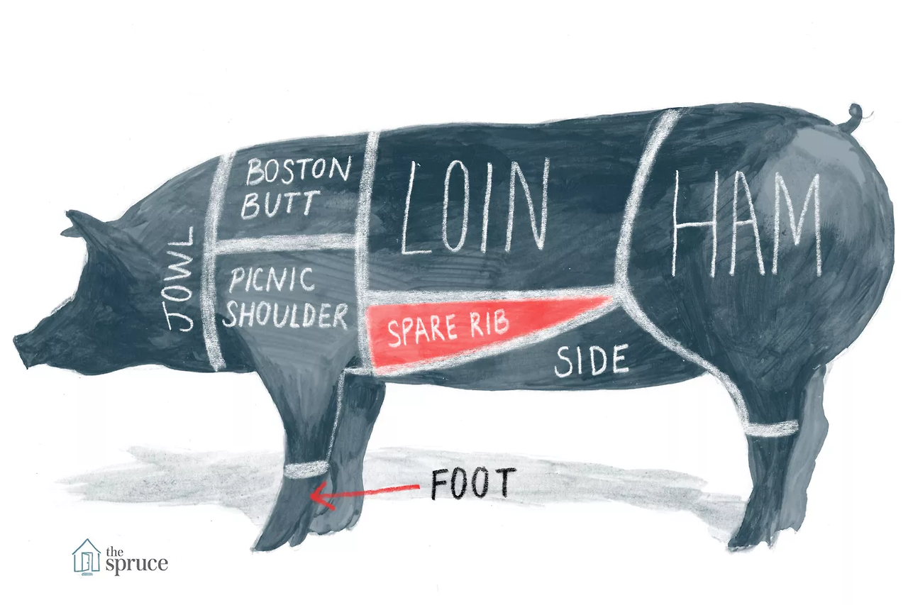 SPR_995306-pig-diagram-and-pork-chart_SpareRib-5a986023875db9003756b544.png