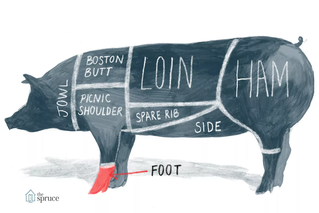 SPR_995306-pig-diagram-and-pork-chart_Foot-5a9860648023b900363d03ed.png