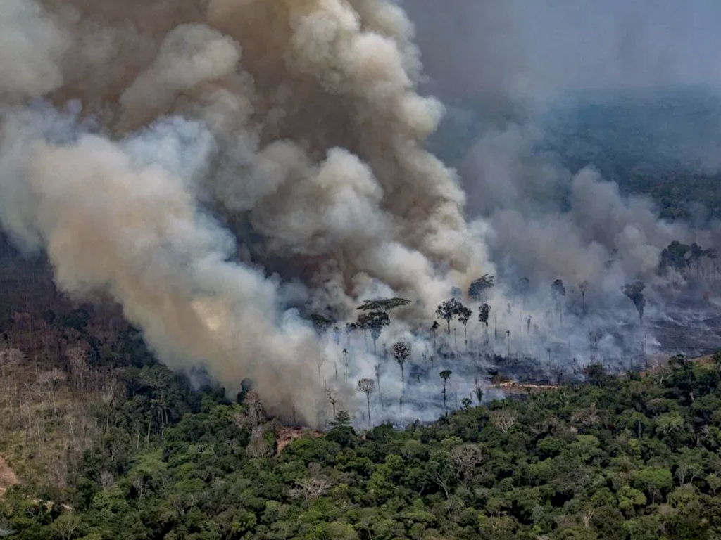AFP-deforestation-amazon.png