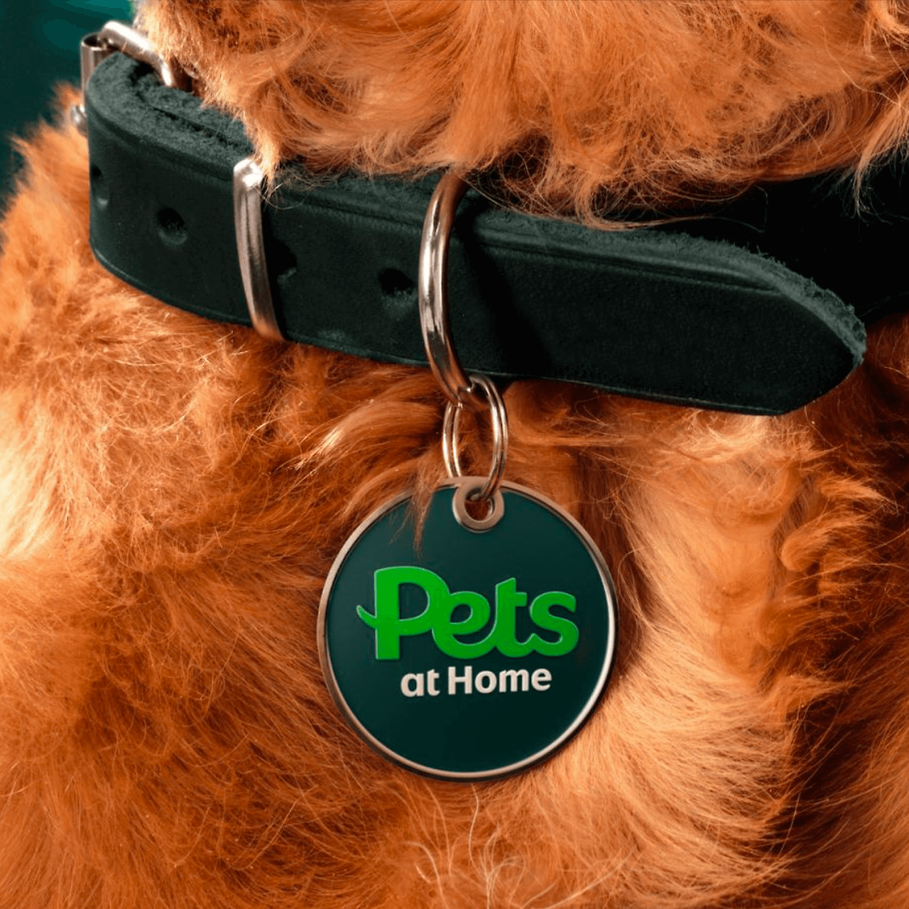 pets-at-home-02.png