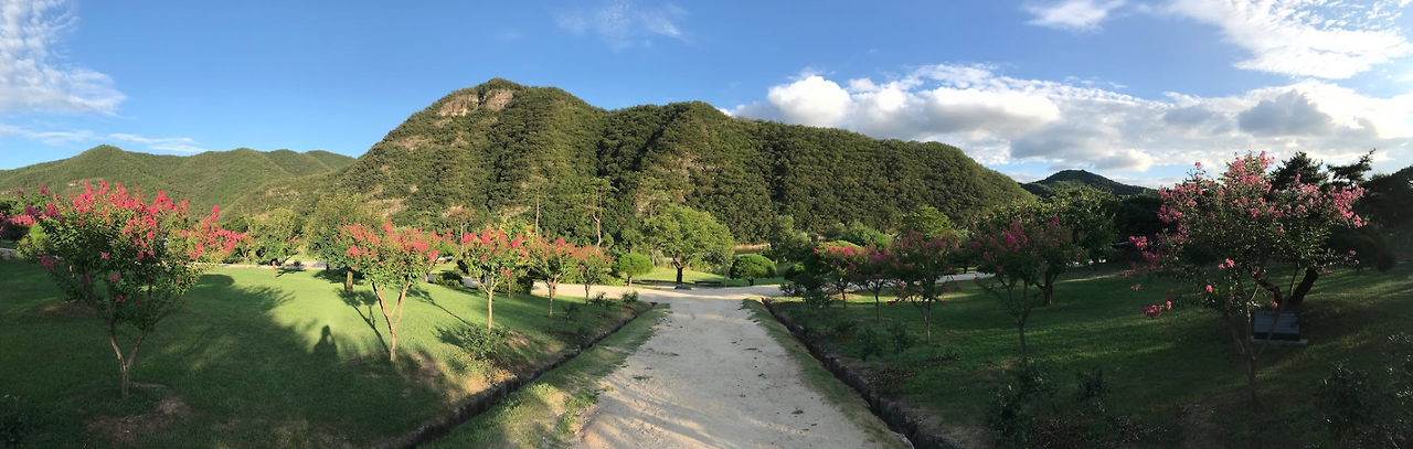 Screen Shot 2019-03-31 at 8.23.59 PM.png