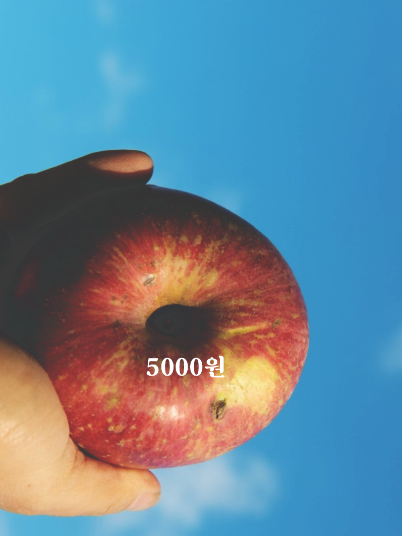 사과.png