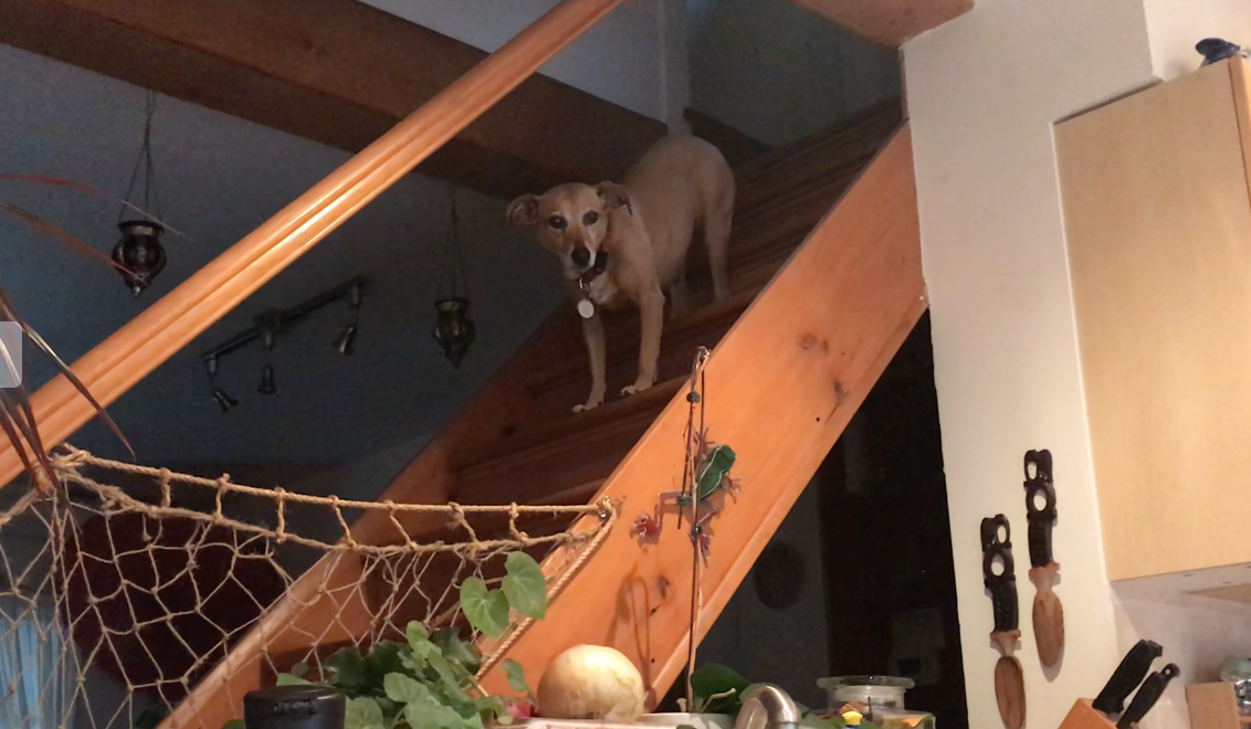 스크린샷 2018-09-17 오후 9.51.27.png