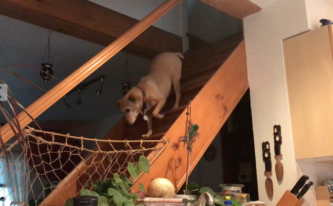 스크린샷 2018-09-17 오후 9.49.36.png