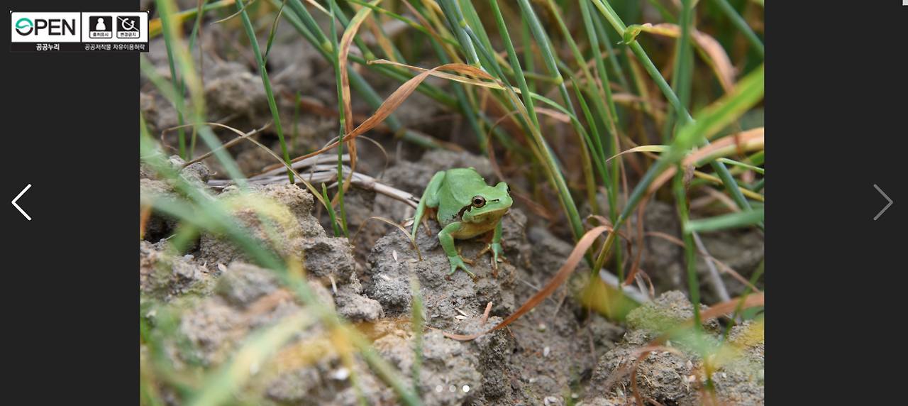 스크린샷 2025-11-05 170530.png