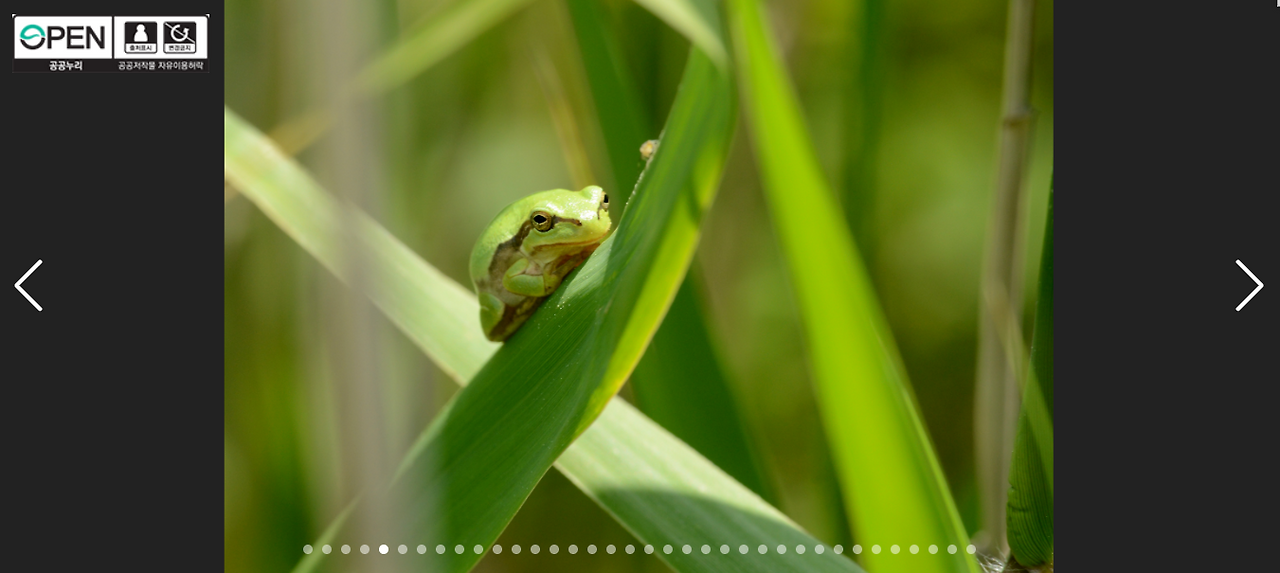 스크린샷 2025-11-05 170216.png