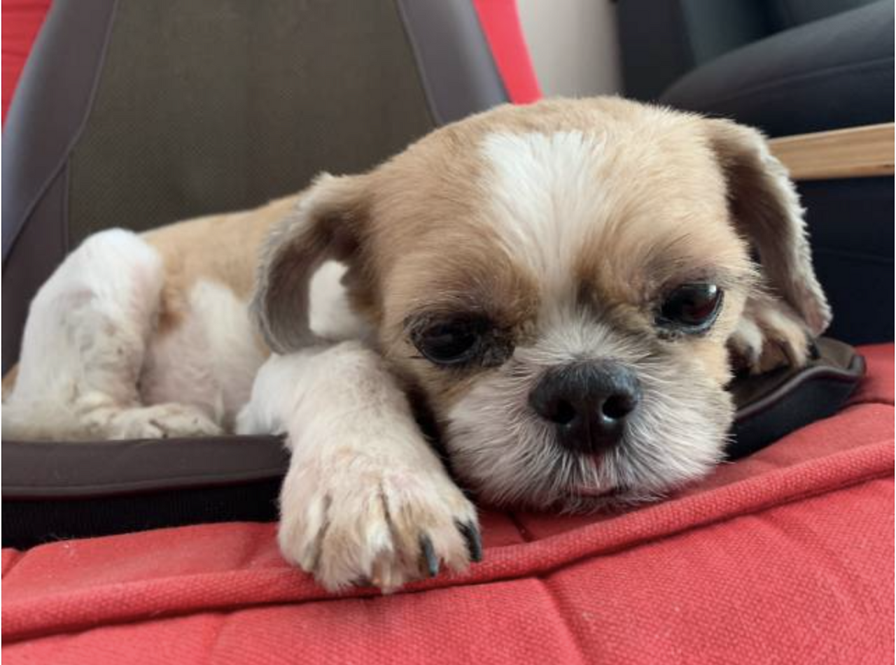 스크린샷 2019-08-18 오후 7.45.58.png