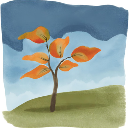 Screen Shot 2024-08-23 at 12.56.43 PM.png