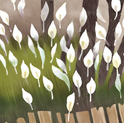 Screen Shot 2024-08-23 at 1.00.32 PM.png