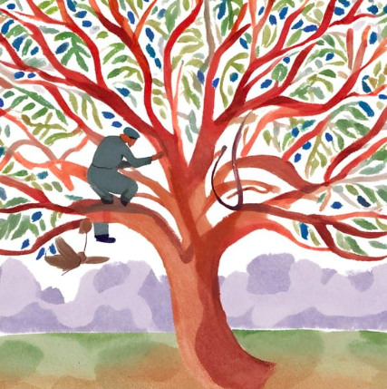 Screen Shot 2024-08-23 at 1.04.46 PM.png