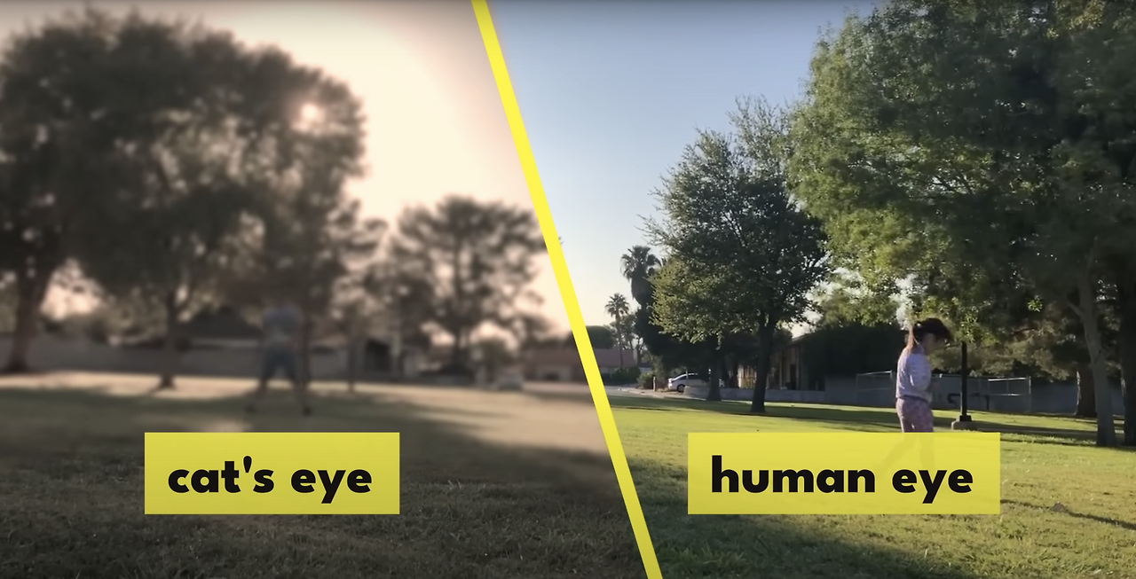 스크린샷 2024-05-04 오후 6.38.02.png