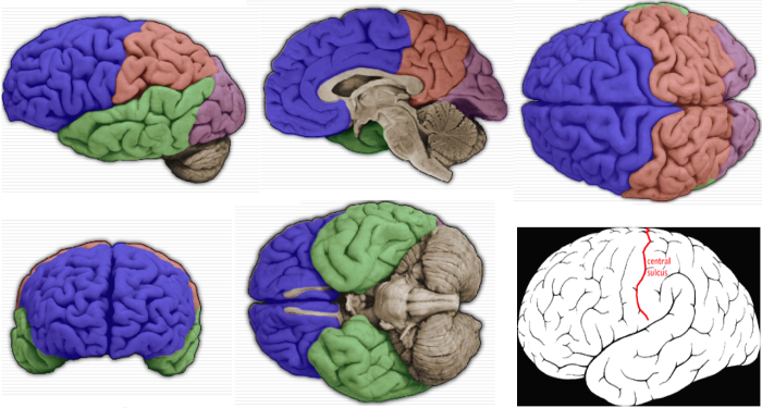 스크린샷 2019-11-17 오후 1.13.06.png