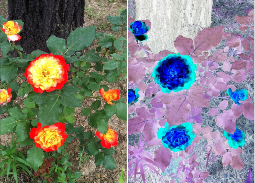 스크린샷 2020-02-18 오전 8.34.46.png