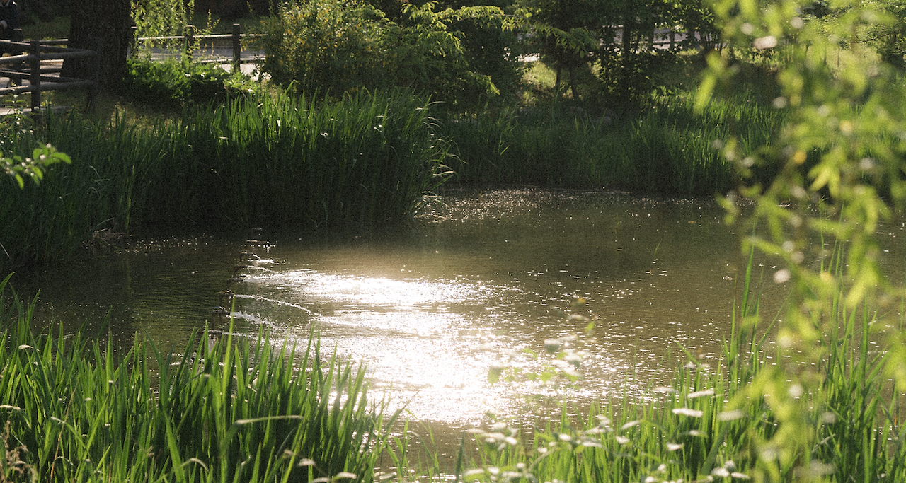 스크린샷 2025-07-13 오후 5.12.14.png