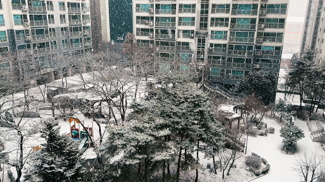 눈오는날_231228.png