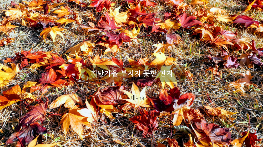 지난가을 부치지 못한 편지.png