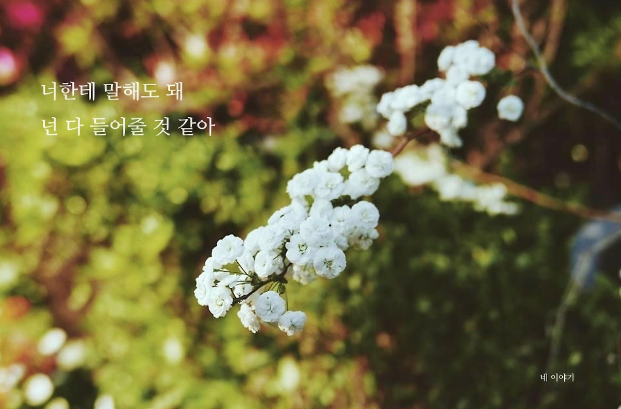 너 한테 말해도 돼.png