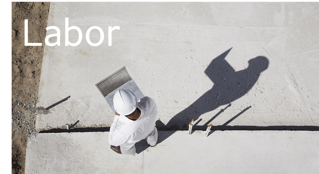 11-1.labor.png