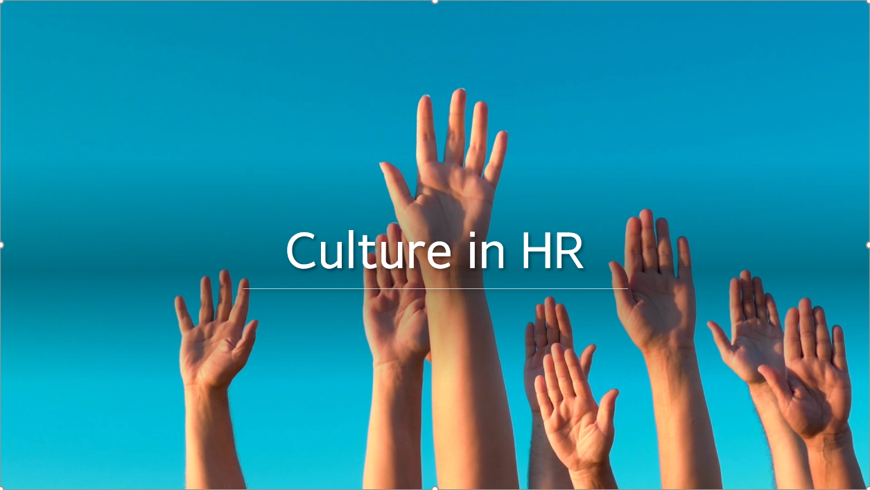 16-3.culture in hr.png