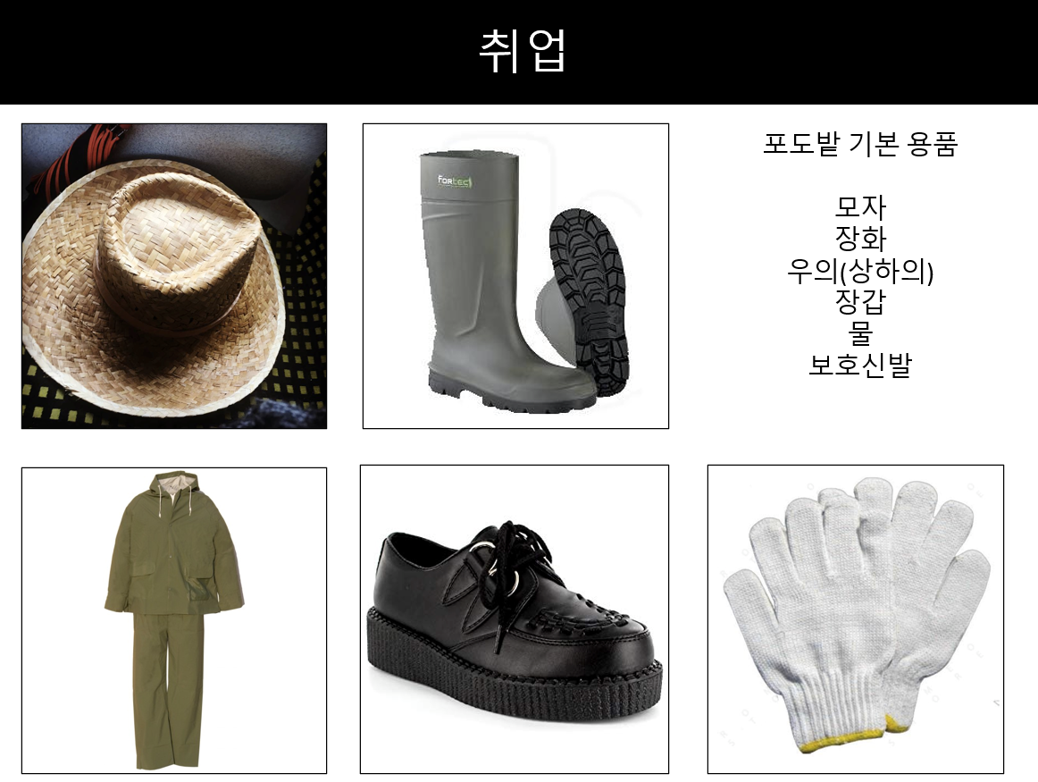 포도밭 그 사나이.png