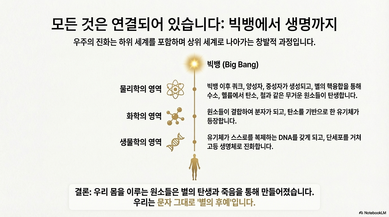 통합_진화_지도 (8).png