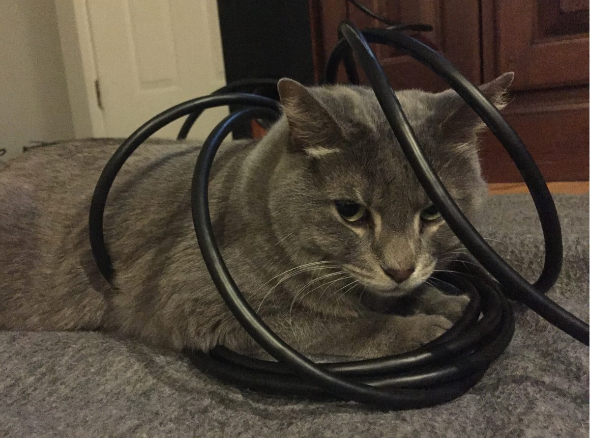 개인적으로 잘됐으면 하는 오미세고 개발, 어디까지 왔나