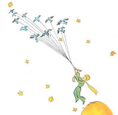 어린왕자 철새.png