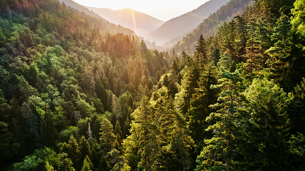 ESG 사례 마이크로소프트.png