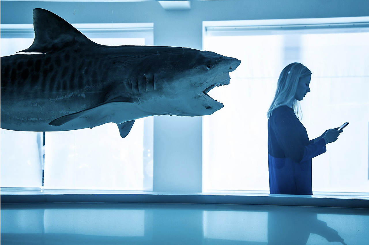 Screenshot 2022-07-13 at 17.13.20.png